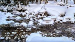 IMG_20170126_090542_HDR