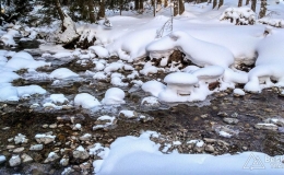 IMG_20170126_090542_HDR