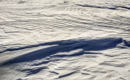 IMG_20170126_121718_HDR