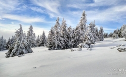 IMG_20170208_152850_HDR