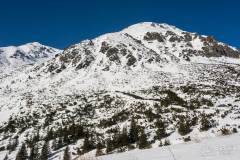 _DSC4401