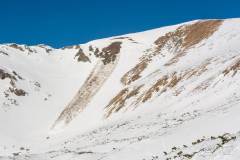 _DSC4420