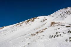 _DSC4423