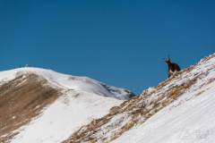 _DSC4440