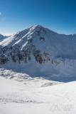 _DSC4446