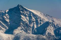 _DSC4473