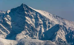 _DSC4473