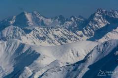 _DSC4475