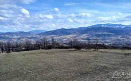 IMG_20170305_133405_HDR
