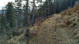 IMG_20170305_140704_HDR