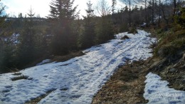 IMG_20170305_142450_HDR