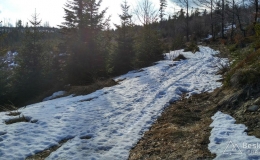 IMG_20170305_142450_HDR