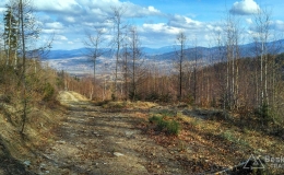 IMG_20170305_143404_HDR