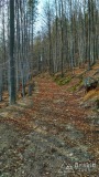 IMG_20170305_143408_HDR