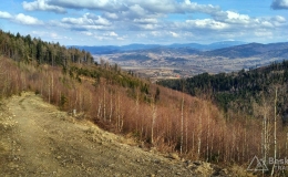IMG_20170305_143454_HDR