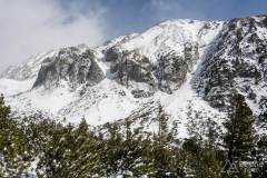 _DSC4593