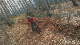 IMG_20170325_113448