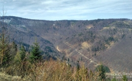 IMG_20170329_105242_HDR