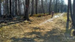 IMG_20170329_123223_HDR