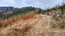 IMG_20170330_125006_HDR