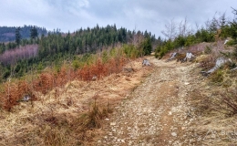 IMG_20170330_125006_HDR