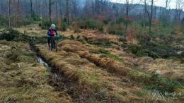 IMG_20170330_130858_HDR