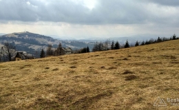 IMG_20170330_134654_HDR