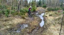 IMG_20170330_140226_HDR