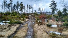 IMG_20170330_145744_HDR