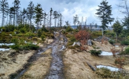 IMG_20170330_145744_HDR