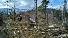 IMG_20170330_162508_HDR