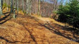 IMG_20170401_143354_HDR