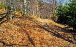 IMG_20170401_143354_HDR