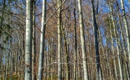 IMG_20170401_143404_HDR