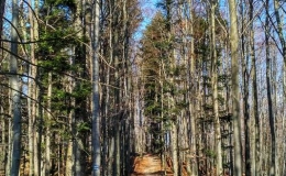IMG_20170401_145956_HDR