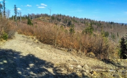 IMG_20170401_151628_HDR