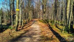 IMG_20170401_152155_HDR