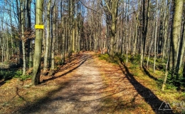 IMG_20170401_152155_HDR