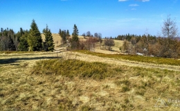 IMG_20170401_155816_HDR