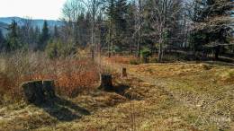 IMG_20170401_171102_HDR