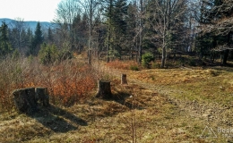 IMG_20170401_171102_HDR