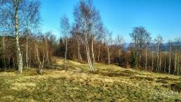 IMG_20170401_171722_HDR