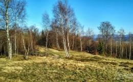 IMG_20170401_171722_HDR