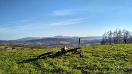 IMG_20170401_174732_HDR