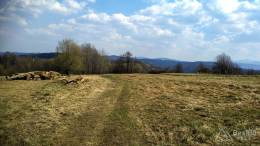 IMG_20170402_131311_HDR