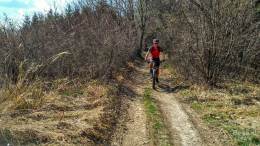 IMG_20170402_132901_HDR