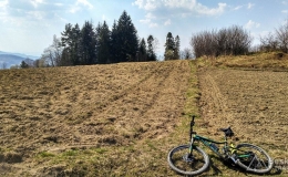 IMG_20170402_135218_HDR