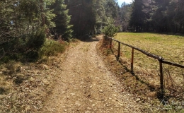 IMG_20170402_142430_HDR