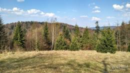 IMG_20170402_154311_HDR