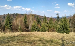IMG_20170402_154311_HDR